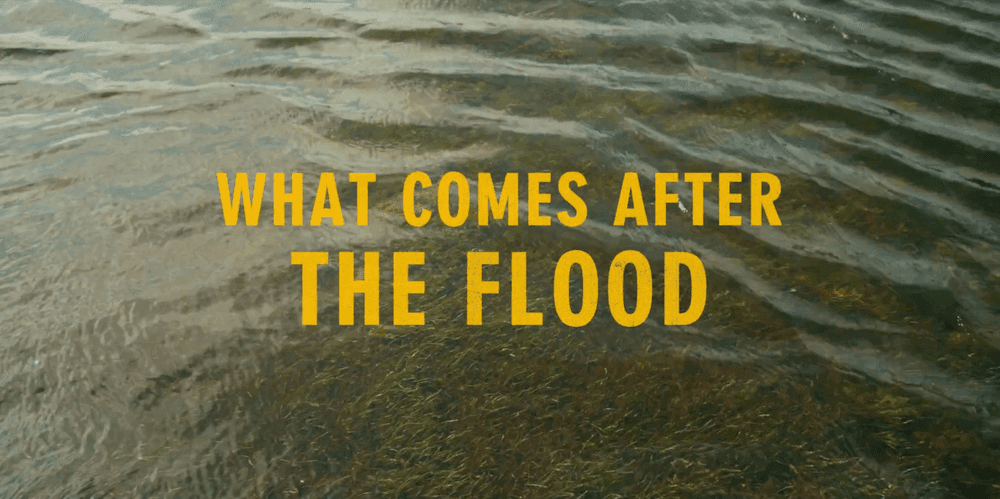 What Comes After The Flood